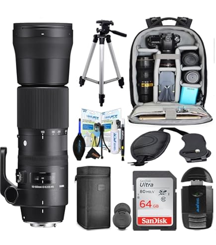 Amazon.com : Sigma 150-600mm F5-6.3 Contemporary DG OS HSM & TC